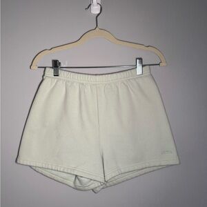 Aritzia Athletic Shorts